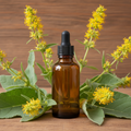 Mullein Tincture amber glass dropper bottle with mullein leaves and flowers