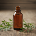 Plain amber glass dropper bottle of mugwort tincture with silvery green mugwort leaf sprigs