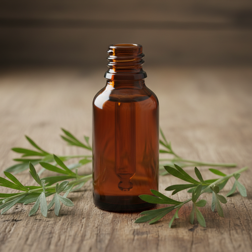 Plain amber glass dropper bottle of mugwort tincture with silvery green mugwort leaf sprigs